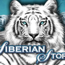 Siberian Storm